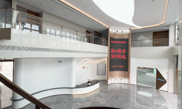 安徽草珊瑚制药集团办公楼完工实景